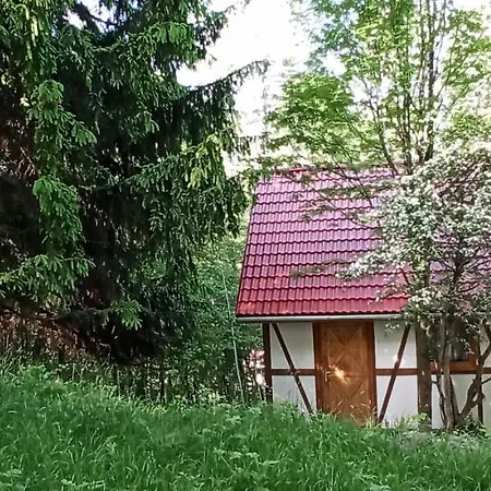 Dom Na Koncu Swiata * 폴라니카-즈루이