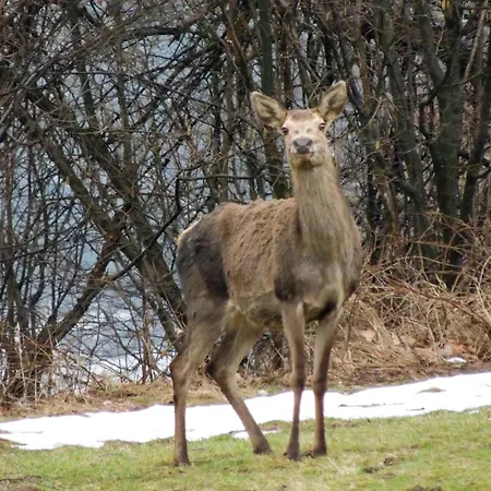 팜스테이 Dom Na Koncu Swiata