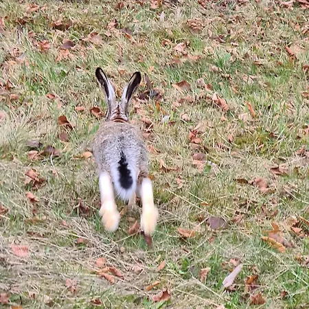 Dom Na Koncu Swiata *