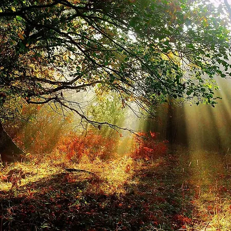 Dom Na Koncu Swiata 팜스테이 *