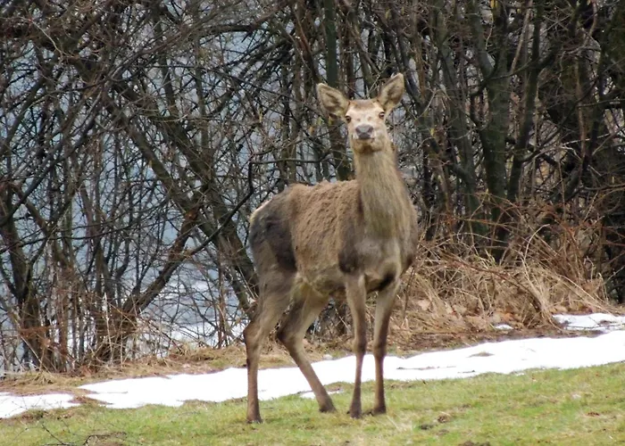 Farm stay Dom Na Koncu Swiata