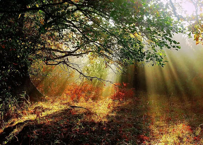 Dom Na Koncu Swiata Farm stay *